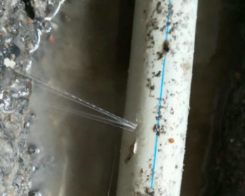 沈河卫生间测漏水多少钱